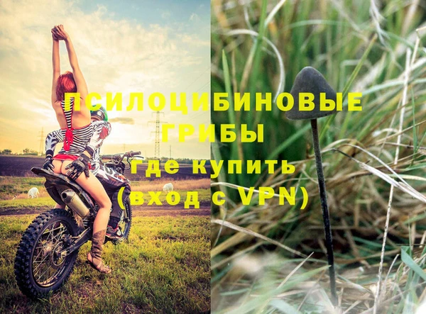 таблы Алексеевка